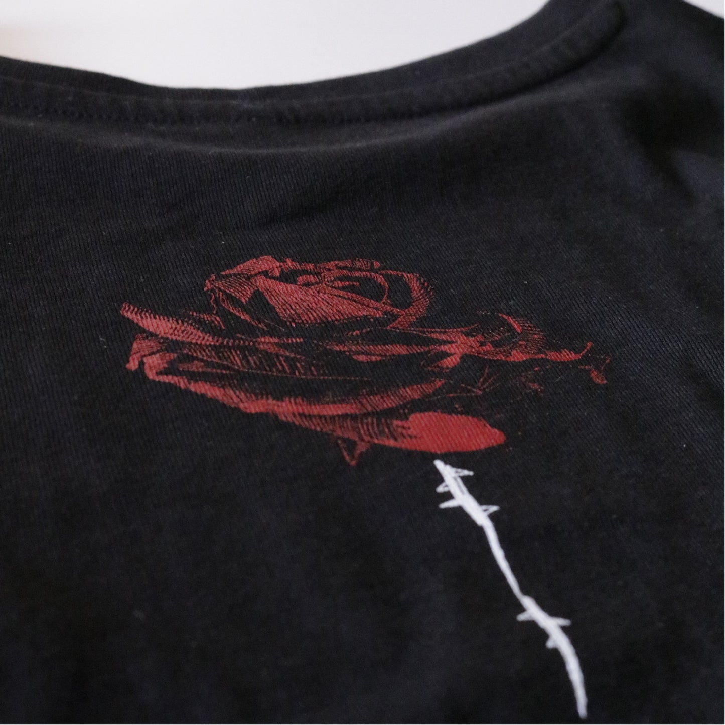 Rosa rossa - over